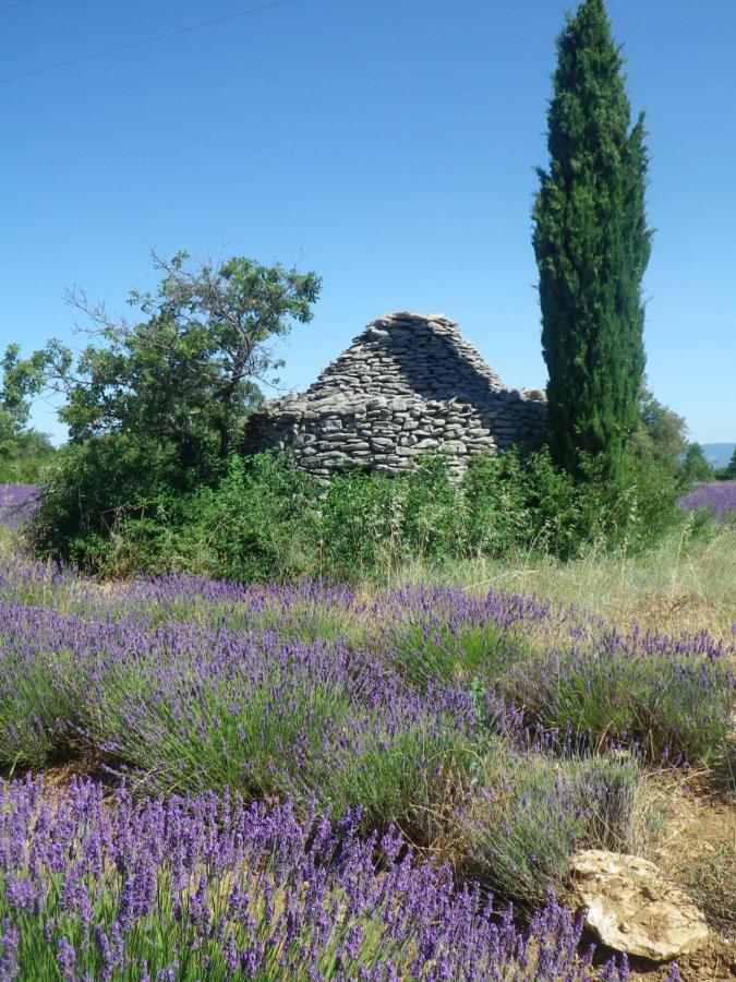 La Mordoree La Motte-d'Aigues Exterior photo